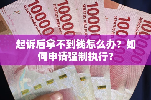 济南起诉后拿不到钱怎么办？如何申请强制执行？