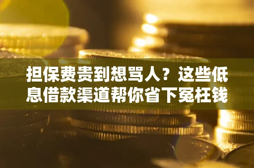 济南担保费贵到想骂人？这些低息借款渠道帮你省下冤枉钱