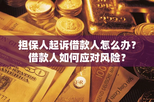 济南担保人起诉借款人怎么办？借款人如何应对风险？
